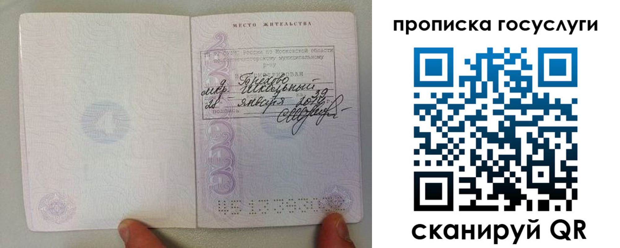 прописка гарантия в Межгорье